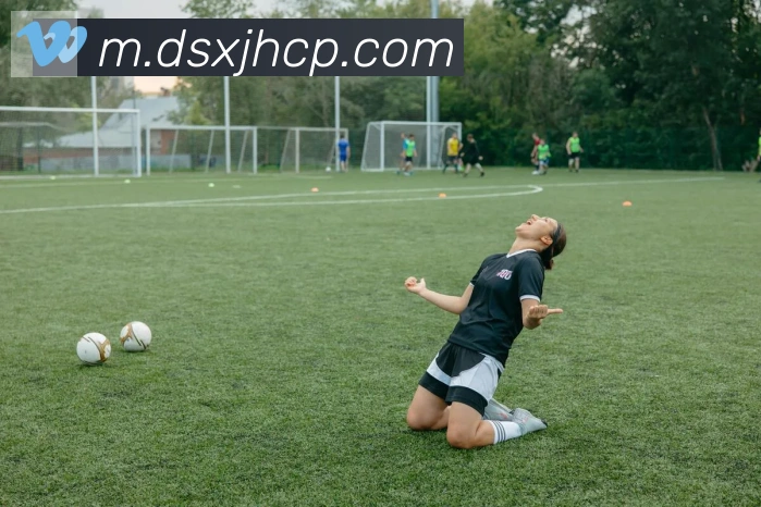 博亚app平台生态图