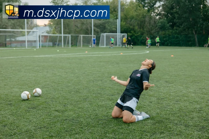 博亚app品牌故事